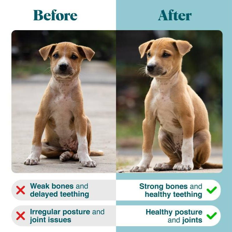 Mineral-Rich Puppy Supplement for Bone Strength, Joint Health & Detox Support