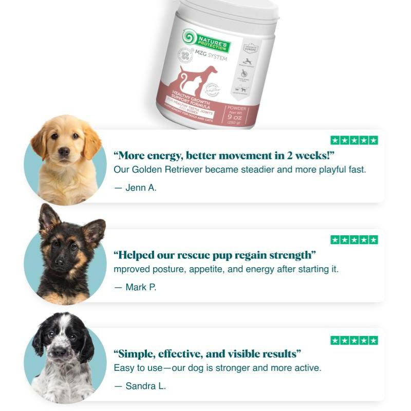 Mineral-Rich Puppy Supplement for Bone Strength, Joint Health & Detox Support