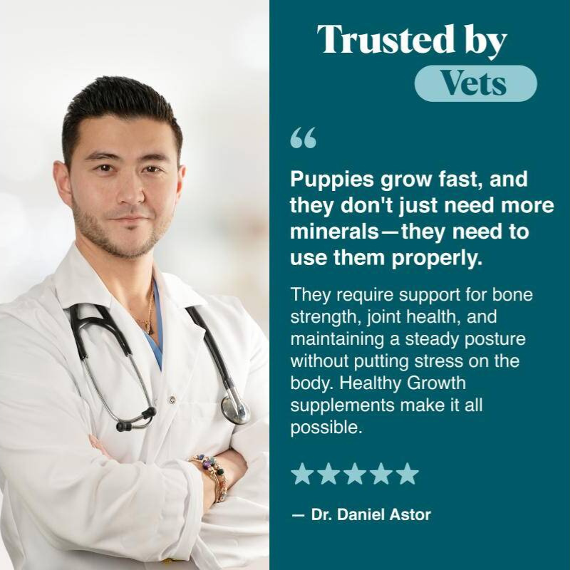 Mineral-Rich Puppy Supplement for Bone Strength, Joint Health & Detox Support