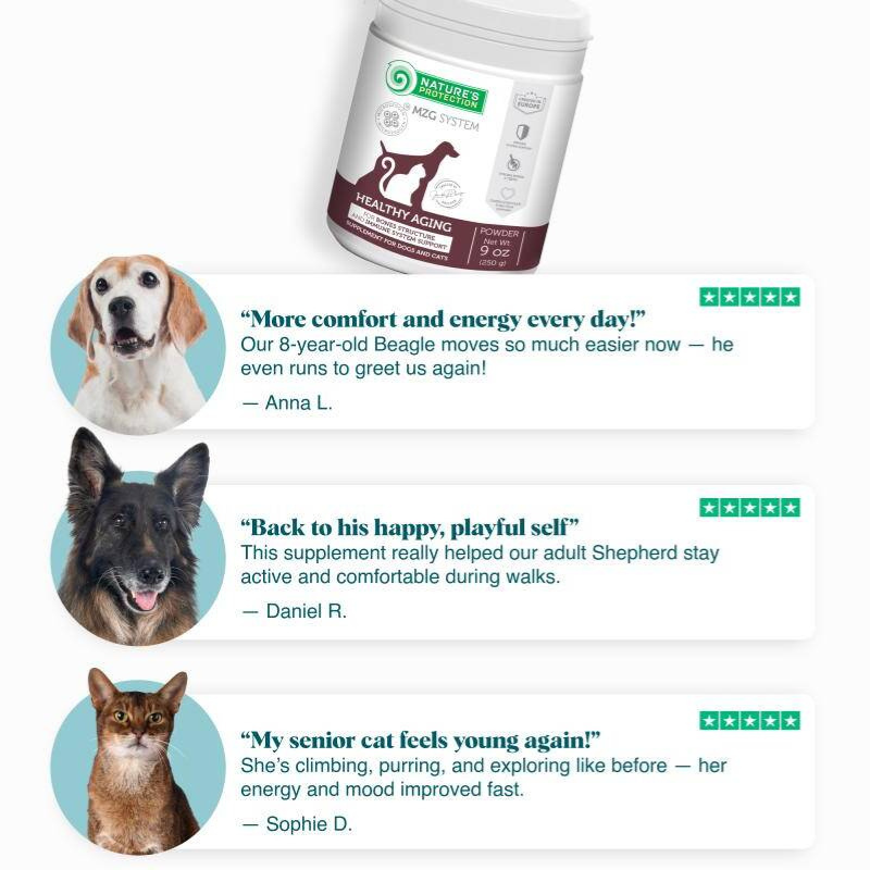 Healthy Aging – Senior Pet Supplement for Bone Strength, Neuromuscular Balance & Detox Support