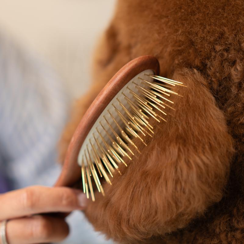 Oval Wooden Stainless Steel Pin Brush for Medium & Large Breeds
