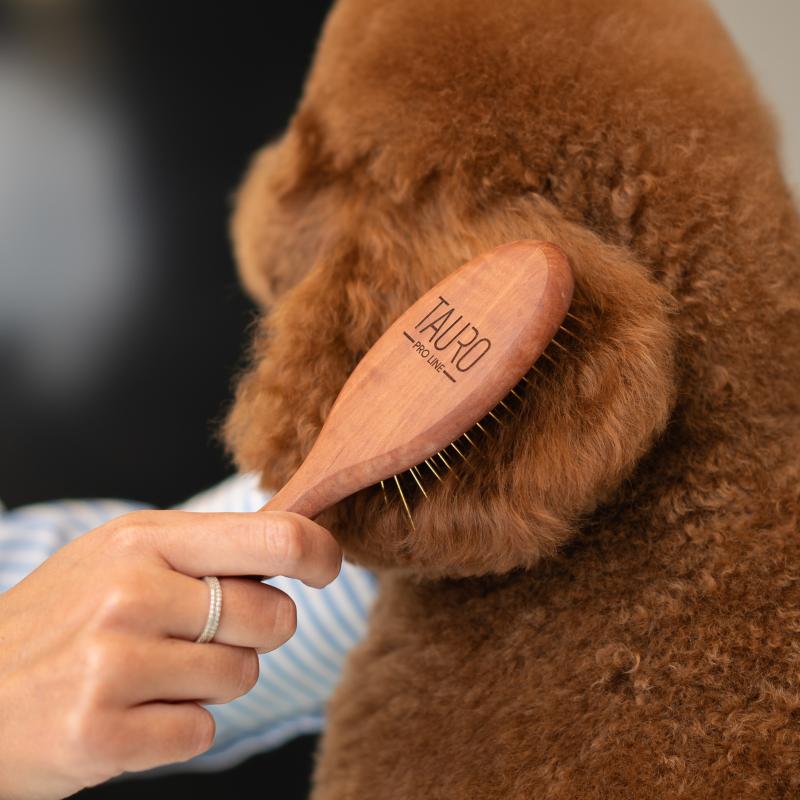 Oval Wooden Stainless Steel Pin Brush for Medium & Large Breeds
