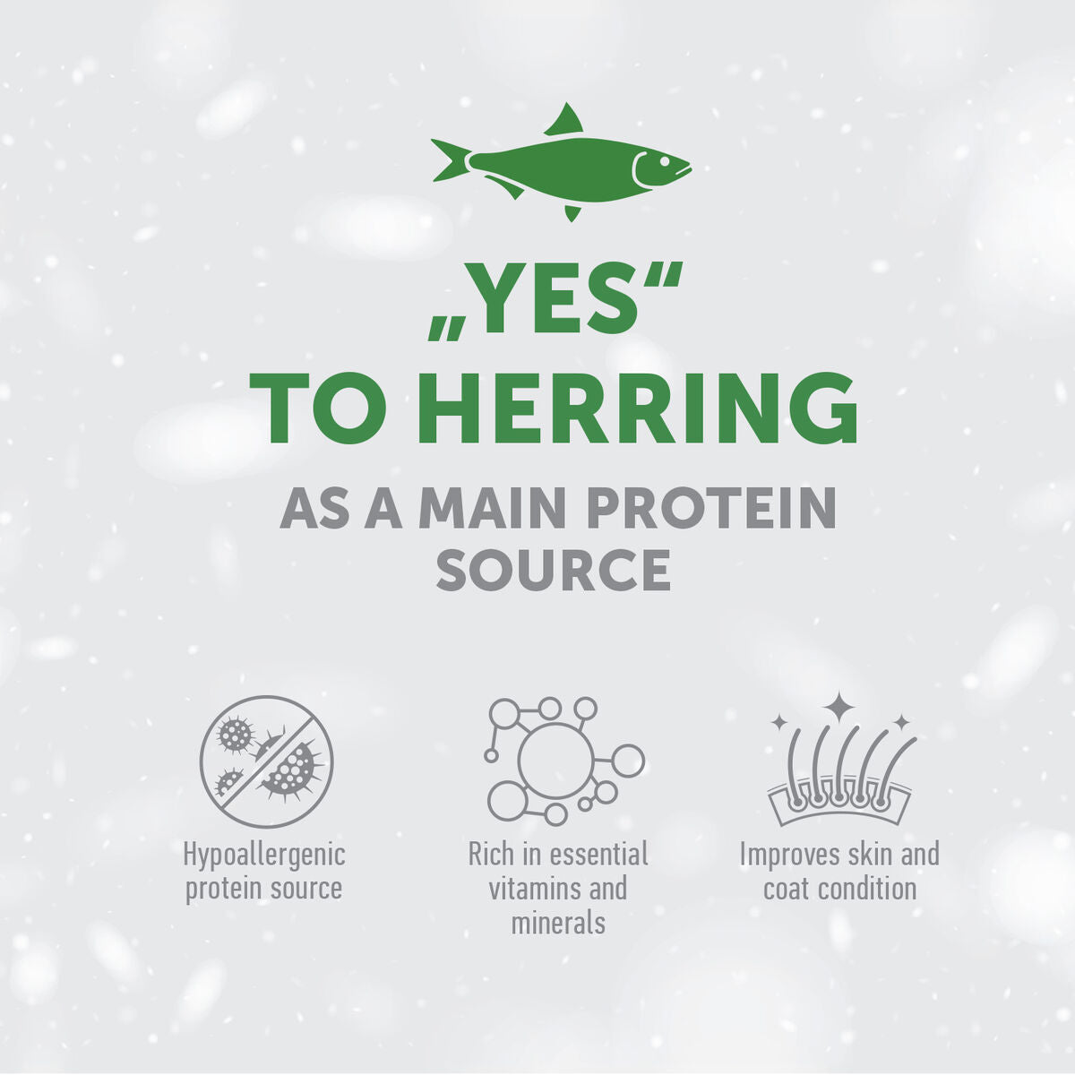 Adult Light Coat Cats Dry Food with Herring – For All Breeds