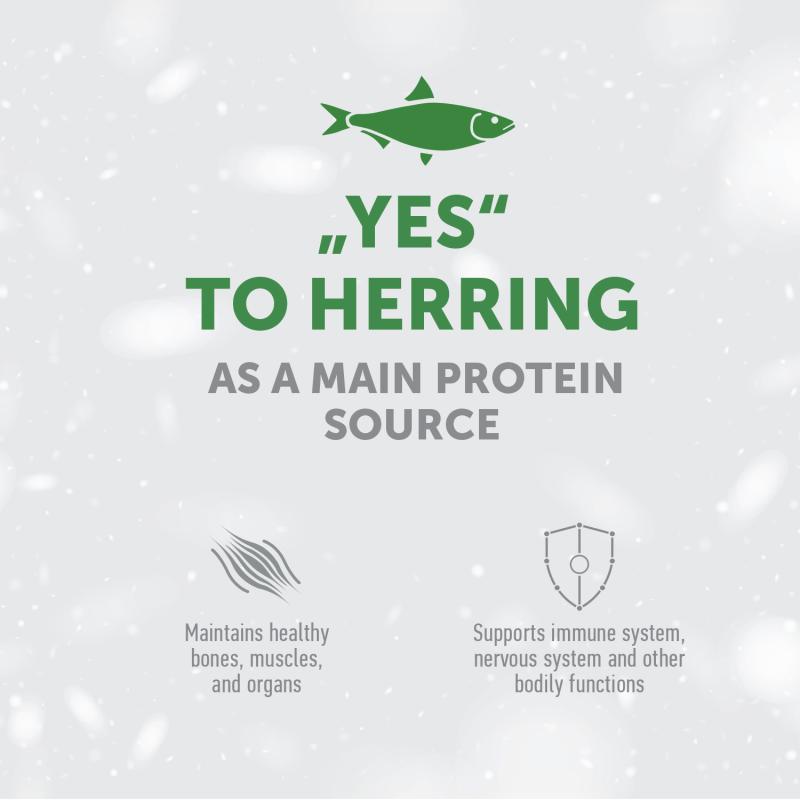 Grain-Free Complementary Dog Treats with Herring for Adult Dogs – Supports Weight Control