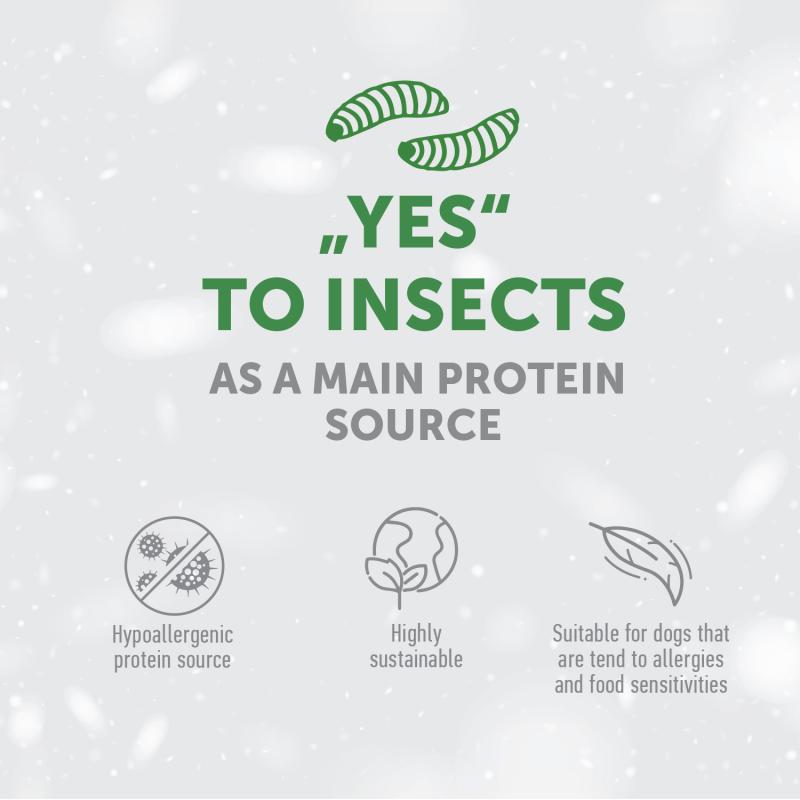Grain-Free Complementary Dog Treats with Insect Protein for Junior Dogs – Supports Oral Care