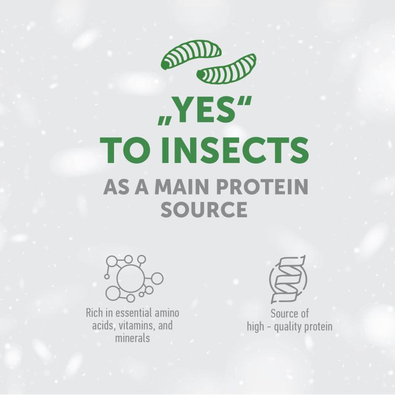 Grain-Free Insect Protein Dog Treats for Adult Dogs – Complementary Snacks to Support Daily Dental Health