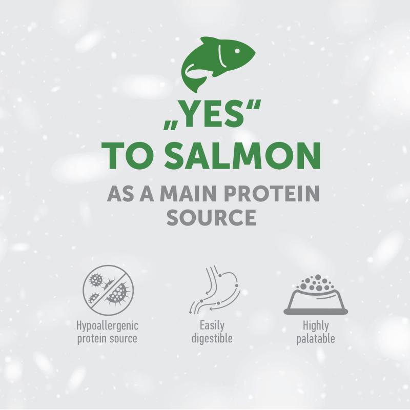 “Grain-Free Complementary Dog Treats with Salmon for Junior Dogs – Supports Sensitive Care