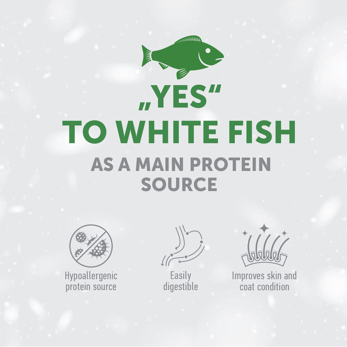 Adult Light Coated Dogs Supplemental Joint Health Snacks with White Fish