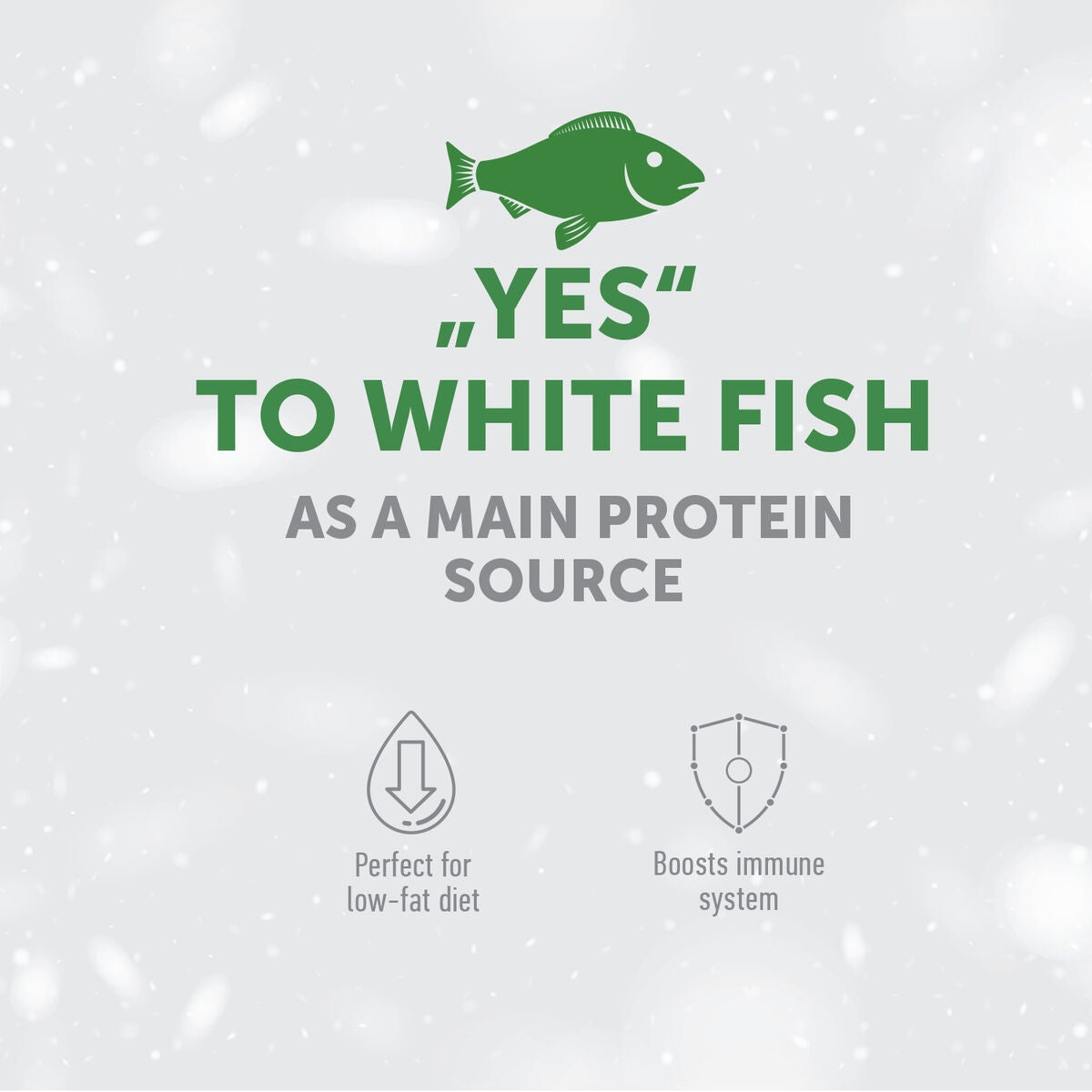 Adult Dogs Food for Light Coat Large Breeds with White Fish
