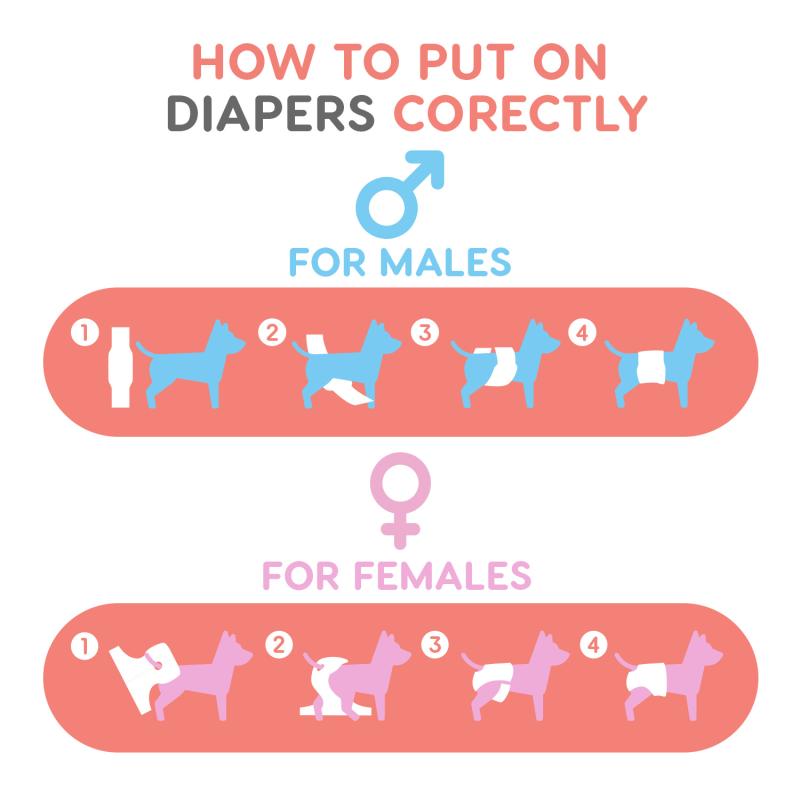 Reusable Male Dog Belly Bands – 3 Pack, Leakproof & Ultra Absorbent