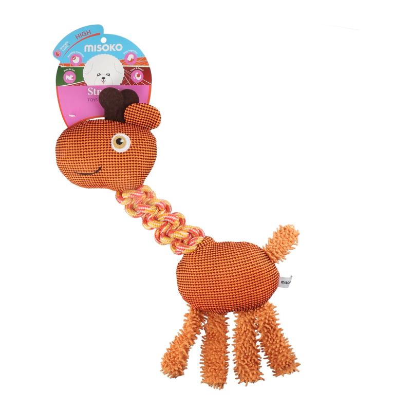 Play & Train Giraffe Toy