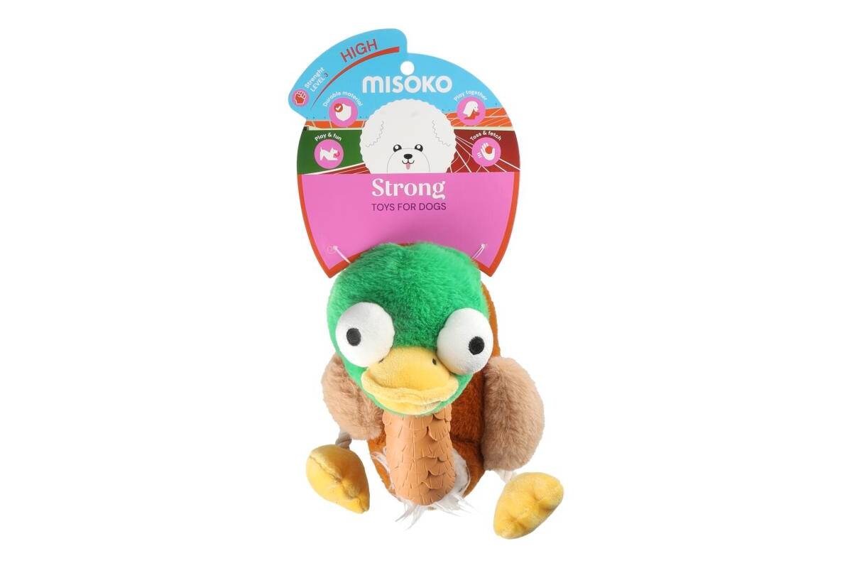 Chew & Clean Duck Toy