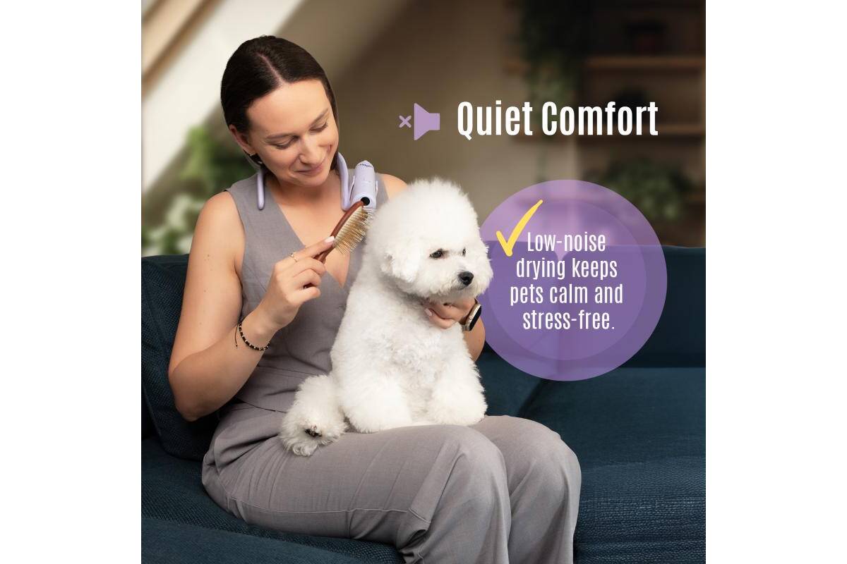 Hands-Free Pet Grooming Dryer with Flexible Neck System & UV Detection