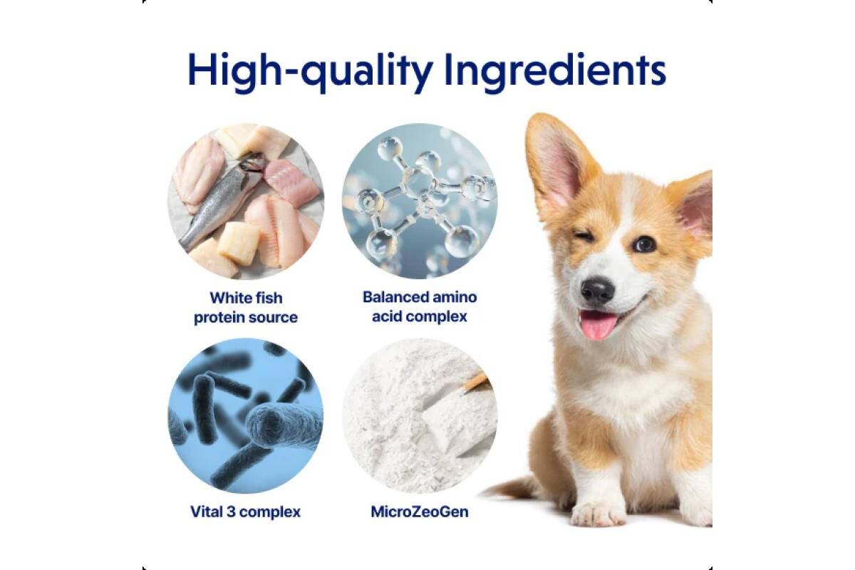 Adult Light Coated Dogs Supplemental Dental Snacks with White Fish