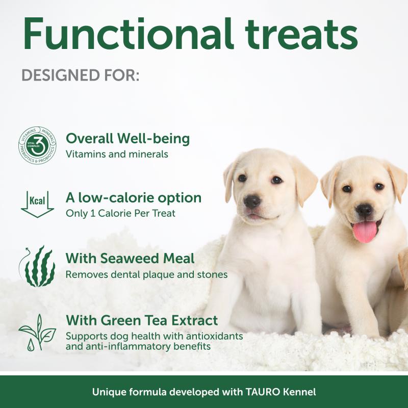 Nutritious Insect Protein Treats for Junior Dogs, Formulated to Support Healthy Growth and Development