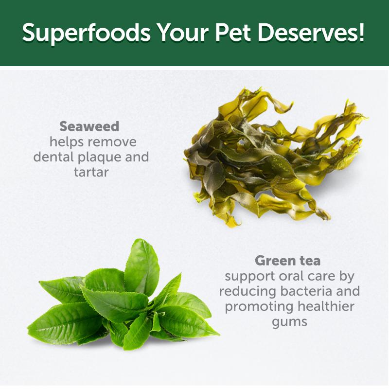 Nutritious Insect Protein Treats for Junior Dogs, Formulated to Support Healthy Growth and Development