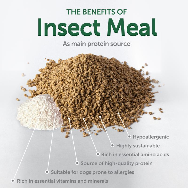 Sustainable Insect Protein & Rice Treats for Adult Dogs – Designed to Support Endurance and Maintain Bright White Coats
