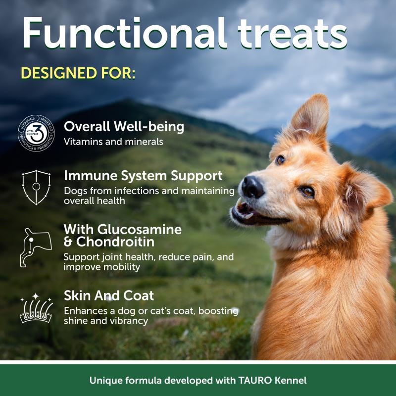 Grain-Free Lamb Dog Treats for Adult Dogs – Complementary Snacks to Support Stamina and Endurance