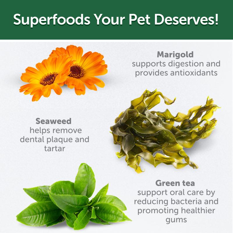 “Grain-Free Complementary Dog Treats with Salmon for Junior Dogs – Supports Sensitive Care