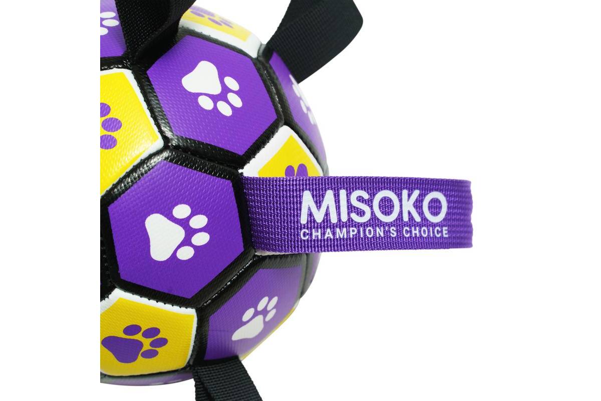 Ultimate Fetch & Float Ball