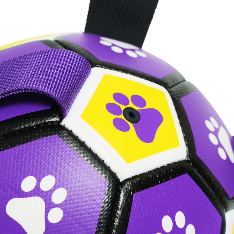 Ultimate Fetch & Float Ball