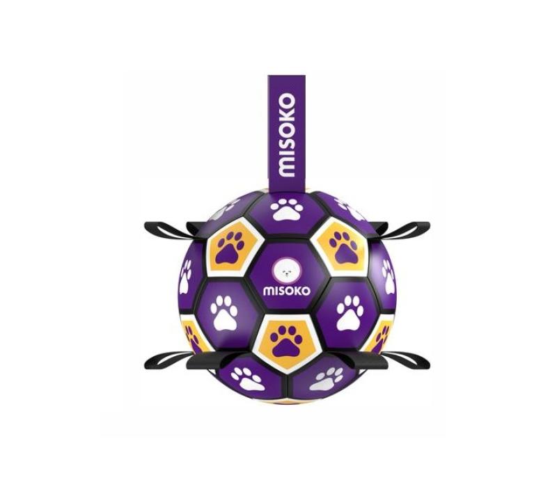 Ultimate Fetch & Float Ball