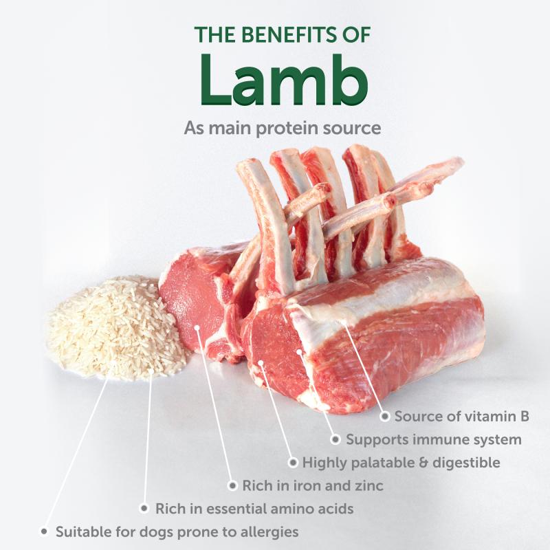 Adult Dogs Food for Light Coat Small Breeds with Lamb