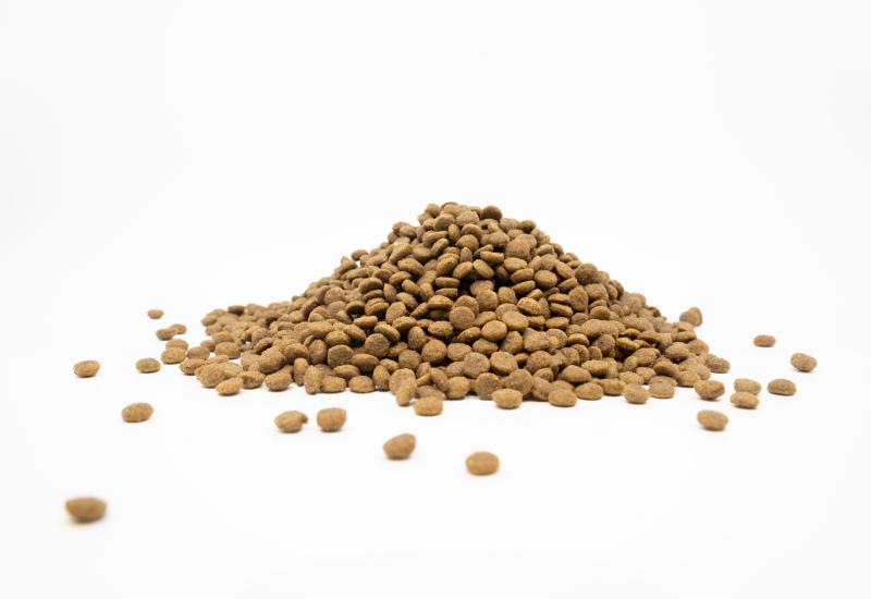 Puppy (up to 4 months) Dogs Food for Light Coat All Breeds with Salmon Protein