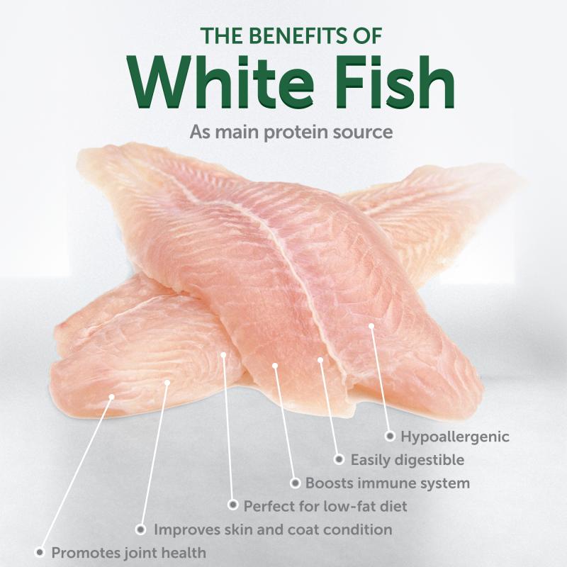 Junior Dog Food for Small & Mini Breeds with White Fish