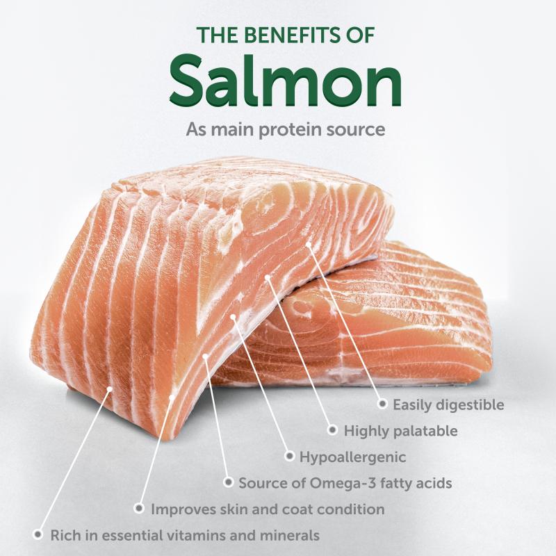 Junior Dogs Food for Light Coat All Breeds with Salmon