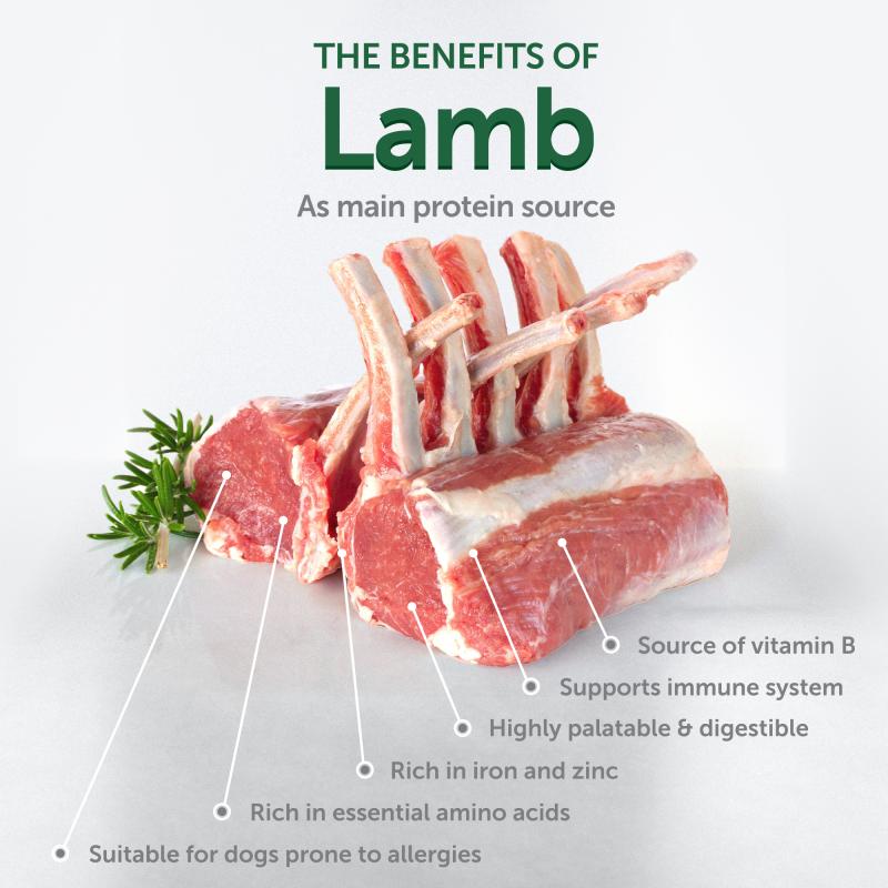 Adult Dogs Food for Light Coat Small & Mini Breeds with Lamb