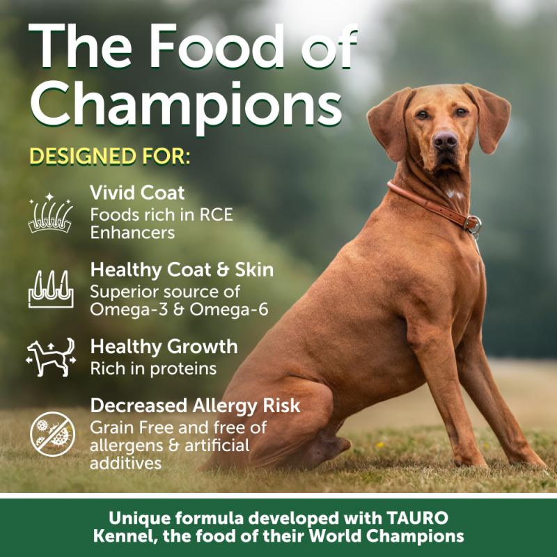 Junior Dogs Food for Red Coat Small Breeds with Salmon