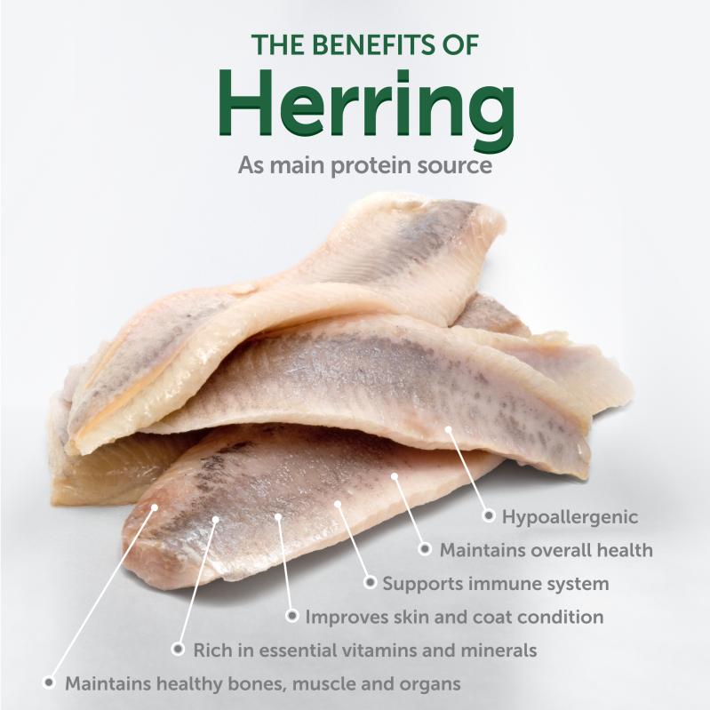 Adult Dogs Food for Light Coat Small Breeds with Herring