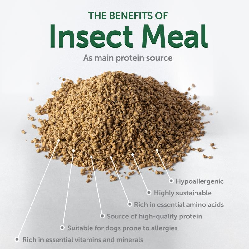 Adult Dogs Food for Light Coat Small Breeds with Insects