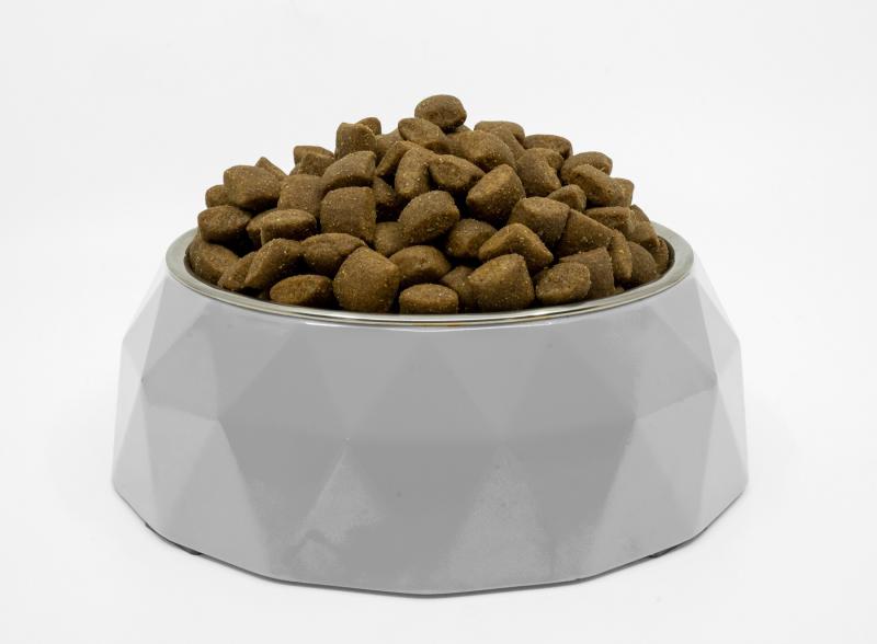 All Life Stages Dogs Food for Light Coat All Breeds with White Fish