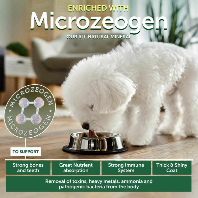 All Life Stages Dogs Food for Light Coated All Breeds with Insect & Rice