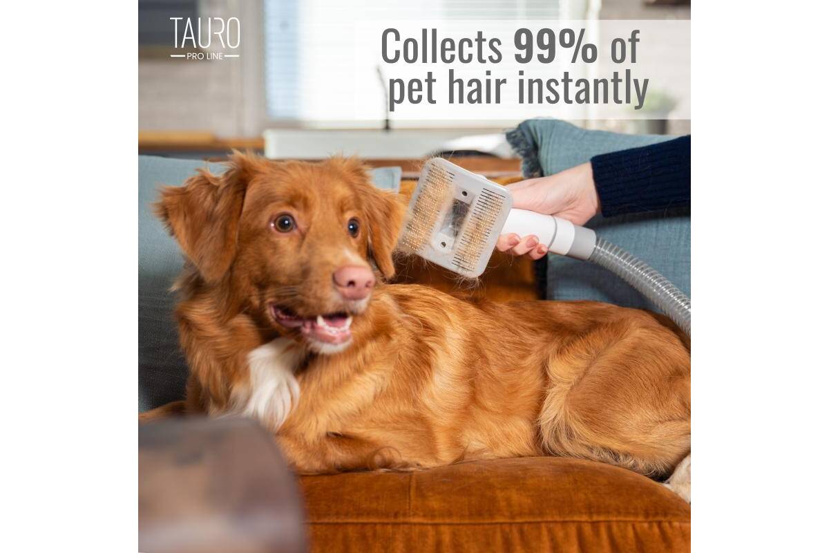 7-in-1 Pet Grooming Vacuum Kit