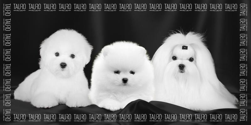 Premium Quick-Dry Microfiber Pet Towel