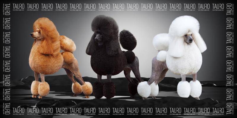 Premium Quick-Dry Microfiber Pet Towel