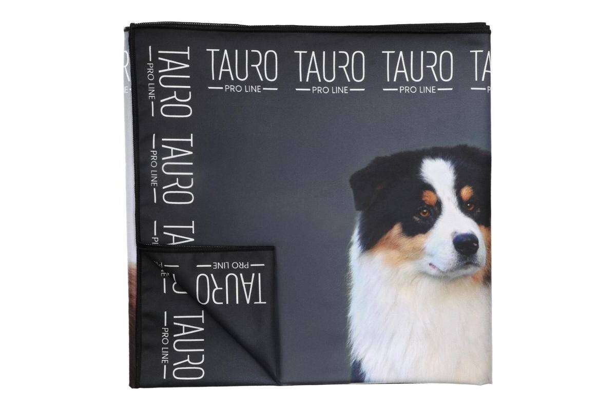 Premium Quick-Dry Microfiber Pet Towel