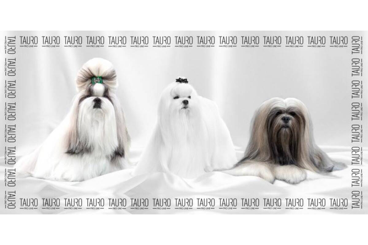 Premium Quick-Dry Microfiber Pet Towel