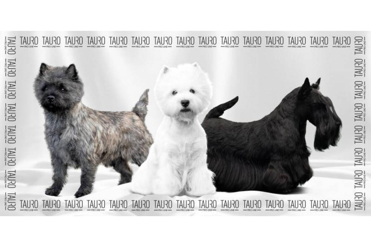 Premium Quick-Dry Microfiber Pet Towel