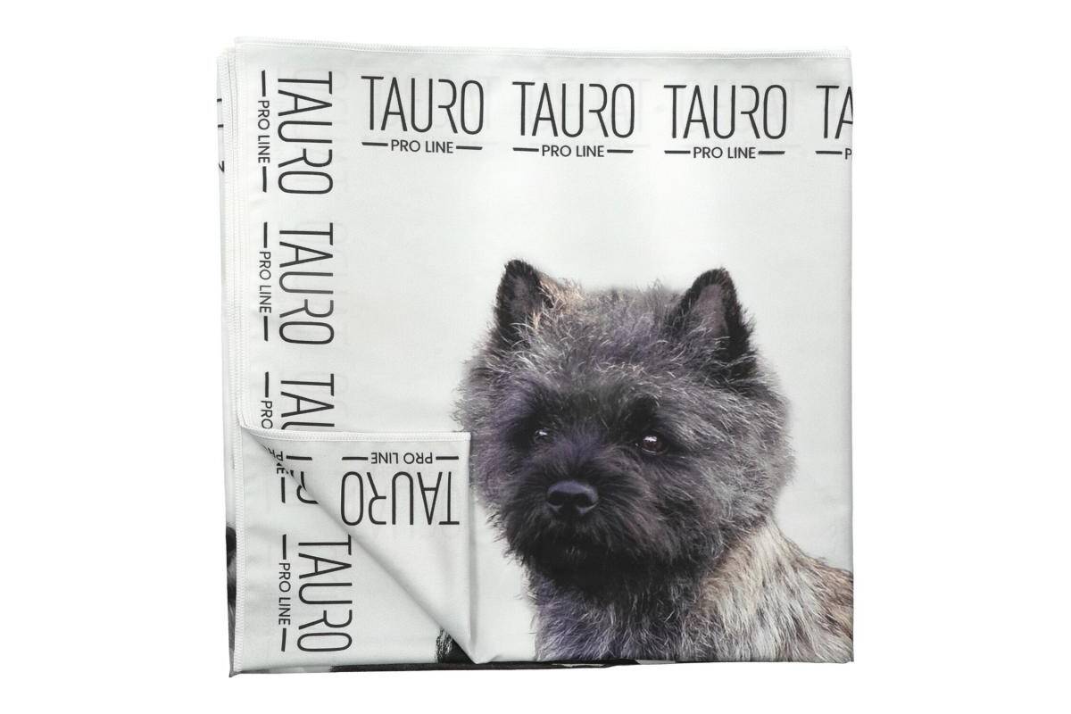 Premium Quick-Dry Microfiber Pet Towel