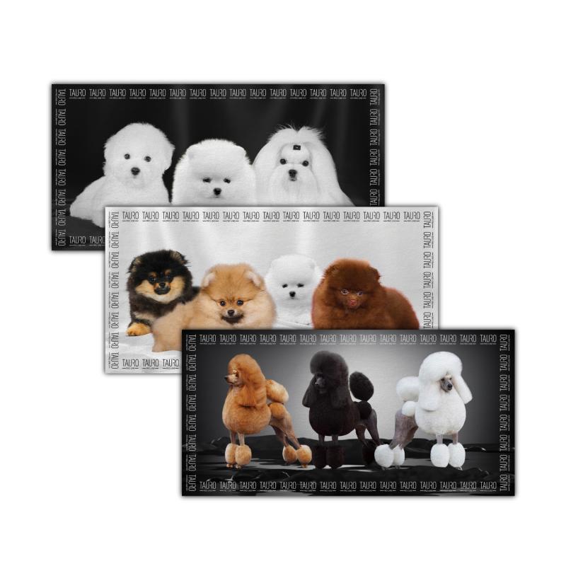 Premium Quick-Dry Microfiber Pet Towel