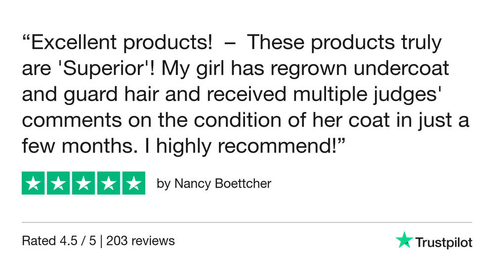 trustpilot-review