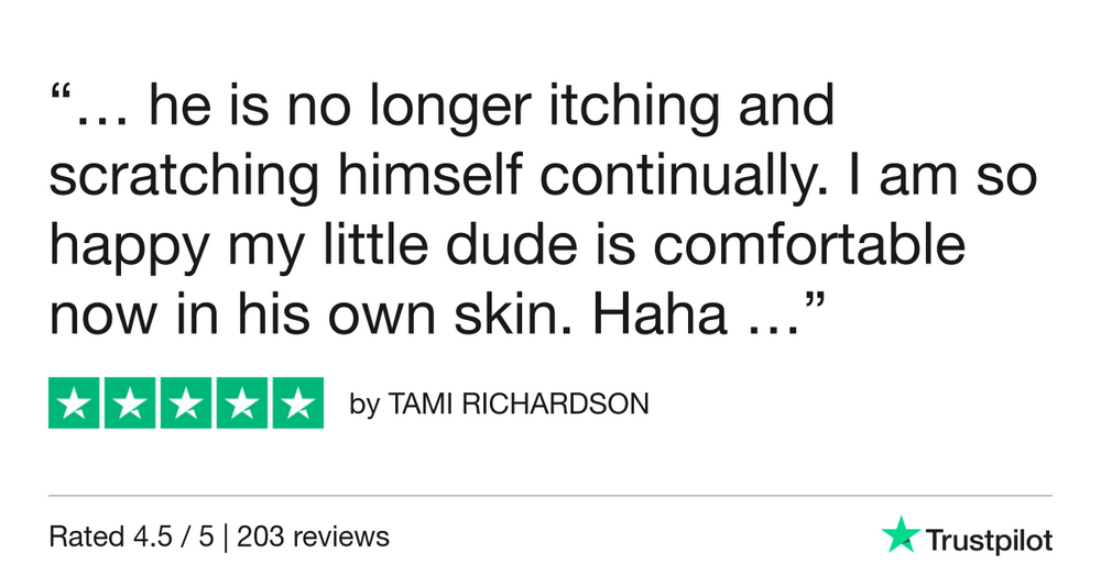 trustpilot-review