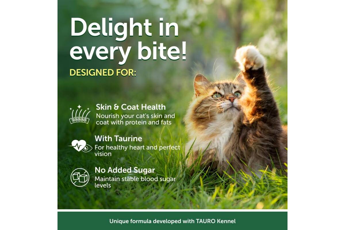 Adult Cat Wet Food for All Breeds with Tuna and Shrimps