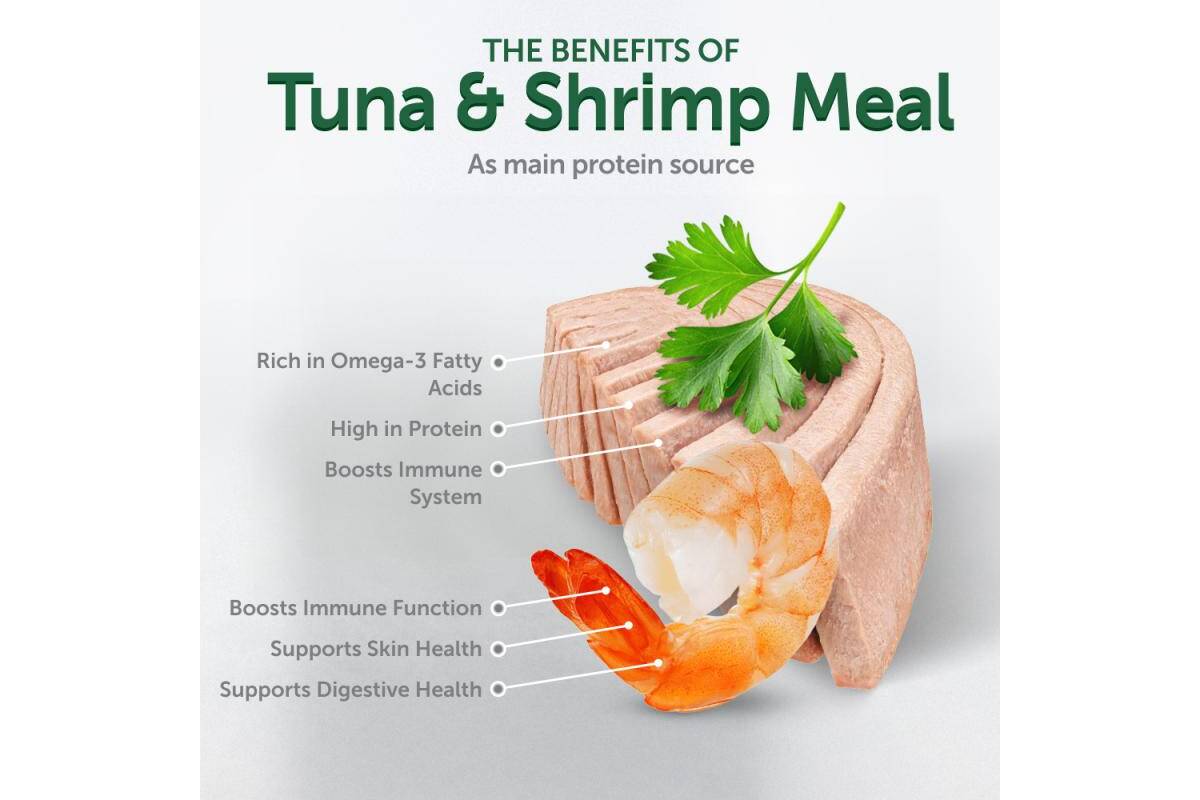 Adult Cat Wet Food for All Breeds with Tuna and Shrimps 24 pack
