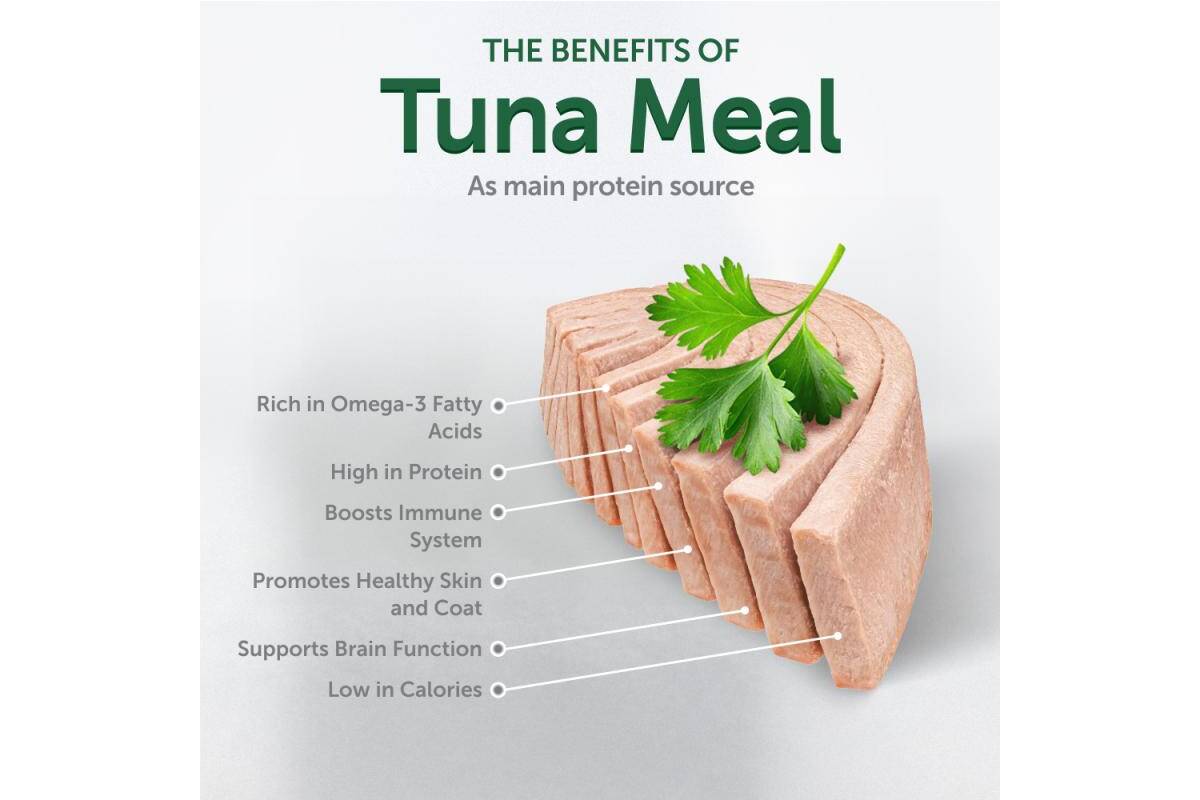Adult Cat Wet Food for All Breeds with Tuna 24 Pack