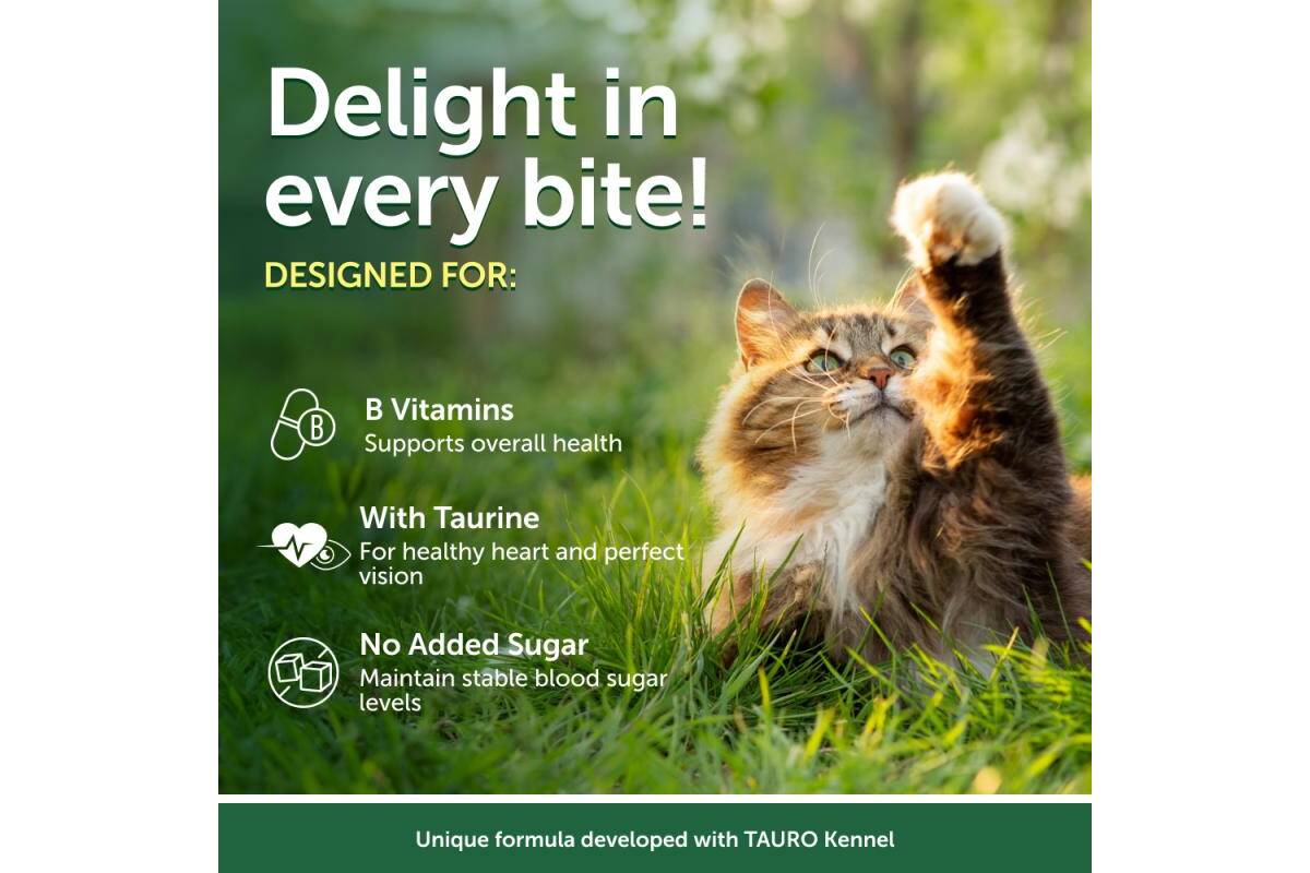 Adult Cat Wet Food for All Breeds with Tuna